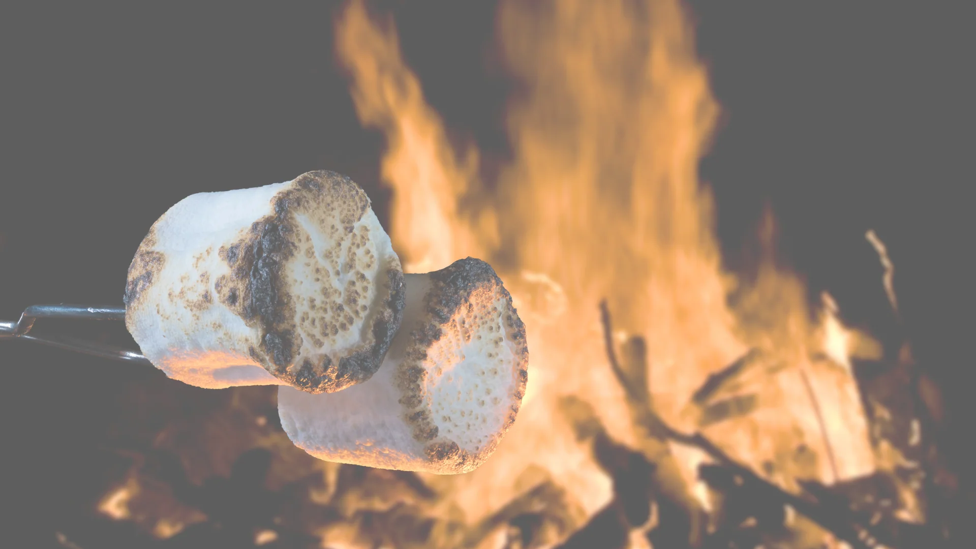 Premium Hardwood for Every Hearth